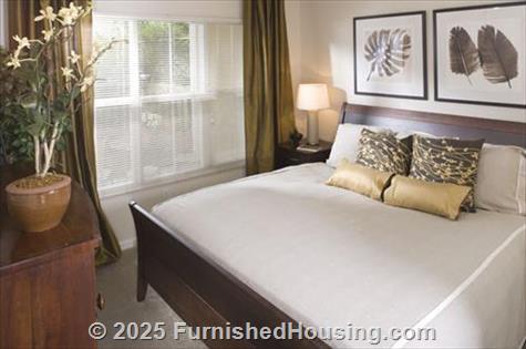 Post Spring -  - 3375 Spring Hill Pkwy, SE, Smyrna, GA  30080 - LG - 89692