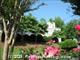 Princeton Place -  - 539 N Westover Blvd, Albany, GA  31707 - CTB - cropped - 86614