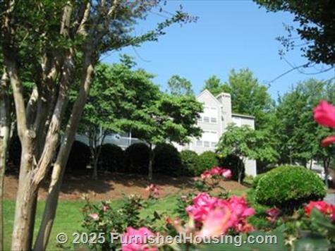 Princeton Place -  - 539 N Westover Blvd, Albany, GA  31707 - LG - 86614