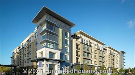 Radius -  - 630 Veterans Blvd, Redwood City, CA  94063 - LG - 8166167