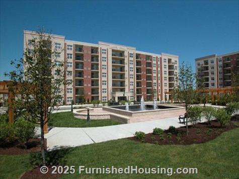 Renew Downers Grove -  - 2845 Easton Street, Downers Grove, IL  60515 - LG - 381511