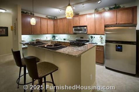 Reserve at Johns Creek Walk -  - 11055 Bell Road, Duluth, GA  30097 - LG - 88575