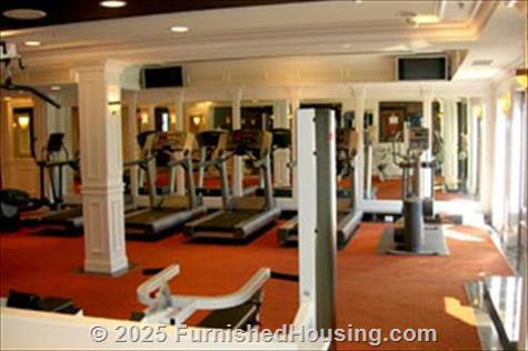 River Oaks West - Garden-Apt - 23440 Little Rapids Ct., Novi, MI  48375 - LG - 241536
