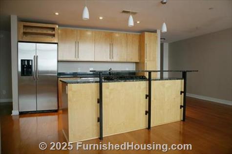 Roberts Lofts -  - 911 Locust Street, St. Louis, MO  63101 - LG - 376444