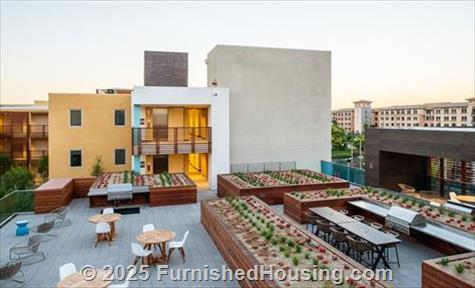 Runway -  - 12760 West Millennium Drive, Playa Vista, CA  90094 - LG - 4825525