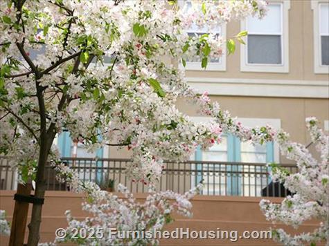 Santana Row - Mid-Rise - 367 Santana Heights, San Jose, CA  95128 - LG - 4927604