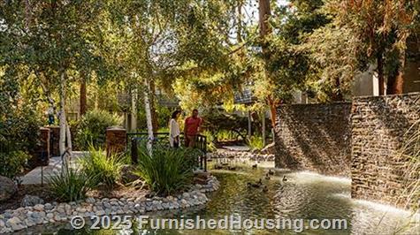 Shadowbrook Apartments -  - 235 S Bernardo Avenue, Sunnyvale, CA  94086 - LG - 4899660