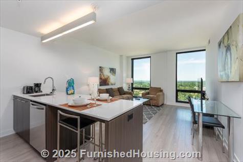 Signature at Reston Town Center - Hi-Rise - 11850 Freedom Drive, Reston, VA  20190 - LG - 5934707