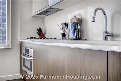 Sky - Hi-Rise - 605 West 42nd Street, New York, NY  10036 - LG - 4350631