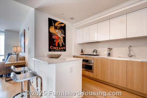 Sky - Hi-Rise - 605 West 42nd Street, New York, NY  10036 - LG - 4538053
