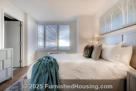 Sky - Hi-Rise - 605 West 42nd Street, New York, NY  10036 - LG - 8242692