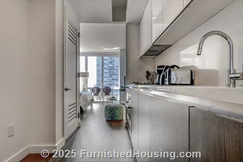 Sky - Hi-Rise - 605 West 42nd Street, New York, NY  10036 - LG - 8242699