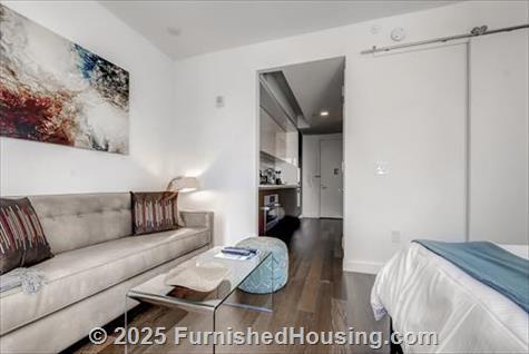 Sky - Hi-Rise - 605 West 42nd Street, New York, NY  10036 - LG - 8242704