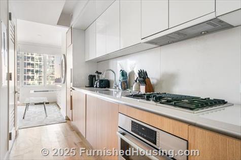 Sky - Hi-Rise - 605 West 42nd Street, New York, NY  10036 - LG - 8558751
