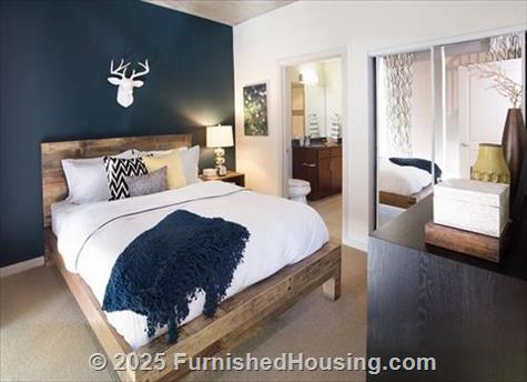 Skyhouse Austin -  - 51 Rainey Street, Austin, TX  78701 - LG - 4971847