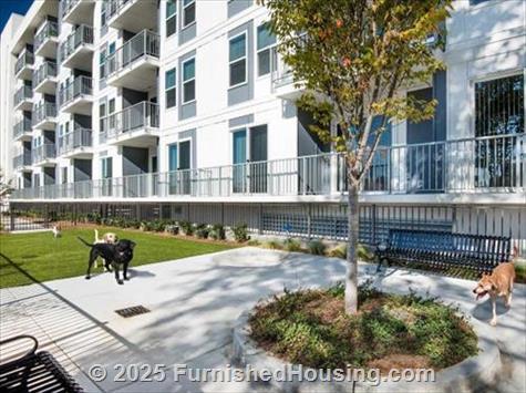 Spectrum on Spring -  - 1270 Spring St, Atlanta, GA  30309 - LG - 8645127