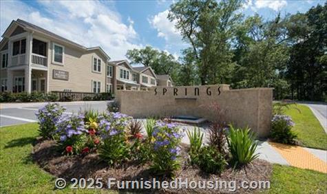 Springs at Essex Farms -  - 3245 Glenn McConnell Pkwy, Charleston, SC  29414 - LG - 5114416