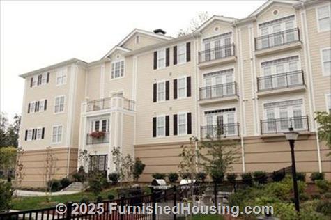 Sterling Magnolia - Low-Rise - 3720 Wendwood Ln #103, Charlotte, NC  28211 - LG - 65141