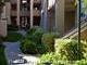 Stoneridge Apartments - Walk Up - 6420 Stoneridge Mall Road, Pleasanton, CA  94588 - CTB - cropped - 3822540