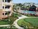 Sycamore Terrace -  - 40 Park City Court, Sacramento, CA  95831 - CTB - cropped - 224269
