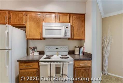 TGM Park Meadows - Townhouse - 1640 Burberry Lane, Schaumburg, IL  60173 - LG - 4781536