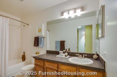TGM Park Meadows - Townhouse - 1640 Burberry Lane, Schaumburg, IL  60173 - LG - 4781537