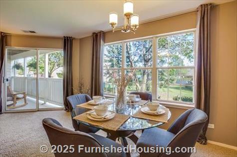 TGM Park Meadows - Townhouse - 1640 Burberry Lane, Schaumburg, IL  60173 - LG - 4781540