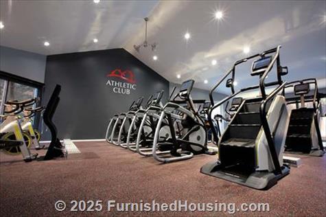 TGM Park Meadows - Townhouse - 1640 Burberry Lane, Schaumburg, IL  60173 - LG - 4781544