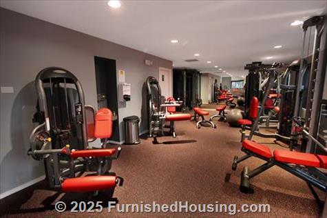 TGM Park Meadows - Townhouse - 1640 Burberry Lane, Schaumburg, IL  60173 - LG - 5054126