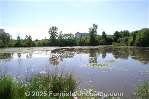 TGM Park Meadows - Townhouse - 1640 Burberry Lane, Schaumburg, IL  60173 - LG - 5054128