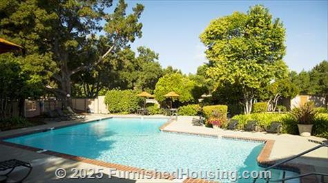 Tan Plaza Continental -  - 580 Arastradero Road, Alto Palo, CA  94306 - LG - 4904329