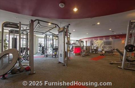 Telfair Lofts -  - 7500 Branford Place, Sugar Land, TX  77479 - LG - 5225566