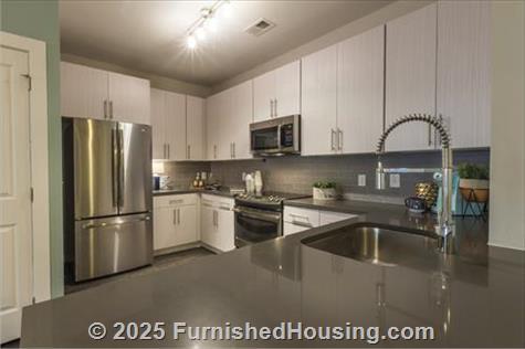 The Aster -  - 302 Alston Manor Street, Cary, NC  27519 - LG - 8717280