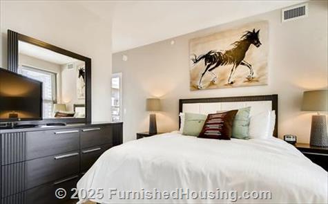 The Bartlett - Hi-Rise - 520 12th Street South, Arlington, VA  22202 - LG - 4765722