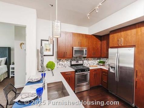 The Bowie - Hi-Rise - 311 Bowie Street, Austin, TX  78703 - LG - 5277264