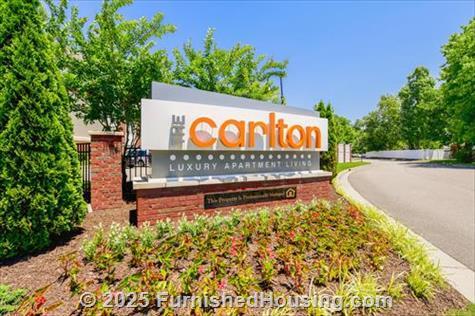 The Carlton at Greenbrier -  - 1500 Carlton Drive, Chesapeake, VA  23320 - LG - 8636199