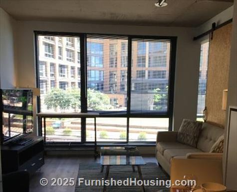 The Channel District Wharf - Hi-Rise - 99 Blair Alley SW, Washington, DC  20024 - LG - 8517570