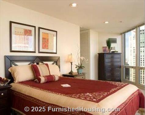 The Chicagoan - hi-rise - 750 North Rush Street, Chicago, IL  60611 - LG - 90770