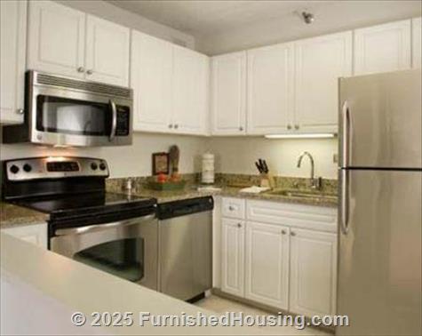 The Chicagoan - hi-rise - 750 North Rush Street, Chicago, IL  60611 - LG - 90772