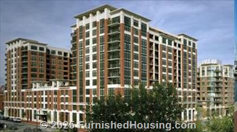 The Eden - Hi-Rise - 777 S. Eden Street, Baltimore, MD  21231 - LG - 1678055