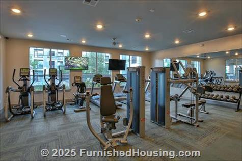 The Grayson -  - 4115 Louetta Road, Spring, TX  77388 - LG - 7584713