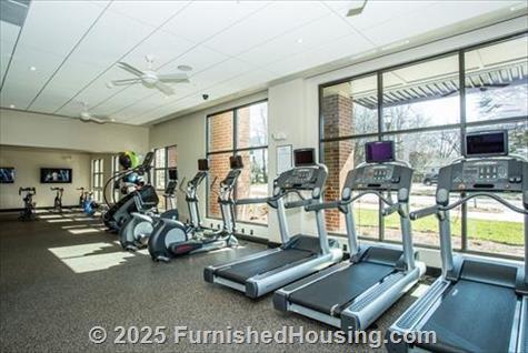 The Local on 14th -  - 455 14th St NW, Atlanta, GA  30318 - LG - 5349690