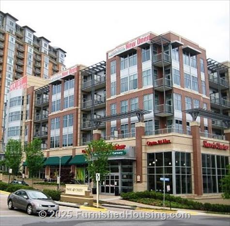 The Lofts at Park Crest - Low-Rise - 8210 Crestwood Heights Drive, McLean, VA  22102 - LG - 2501934