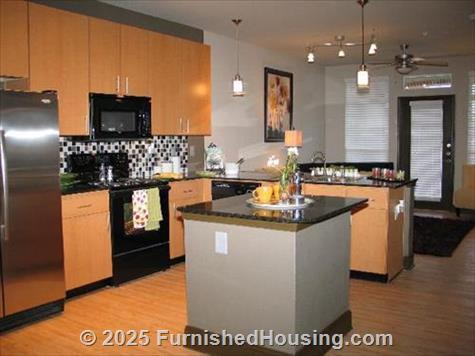 The Millennium South End -  - 1312 South College Street, Charlotte, NC  28203 - LG - 185120