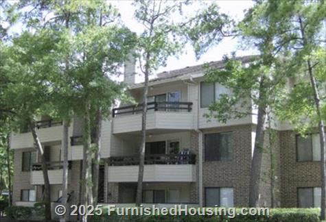 The Parkside -  - 10600 Six Pines Drive, The Woodlands, TX  77380 - LG - 87731