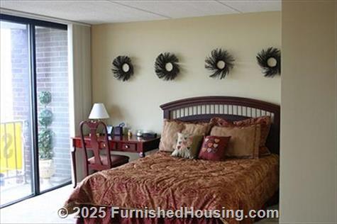 The Pavilion -  - 5441 N. East River Road, Chicago, IL  60656 - LG - 184785