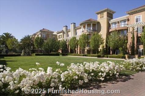 The Pines at North Park -  - 70 Descanso Drive, San Jose, CA  95134 - LG - 367016
