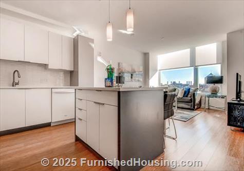 The Radian - Hi-Rise - 120 Kingston Street, Boston, MA  02111 - LG - 4854851