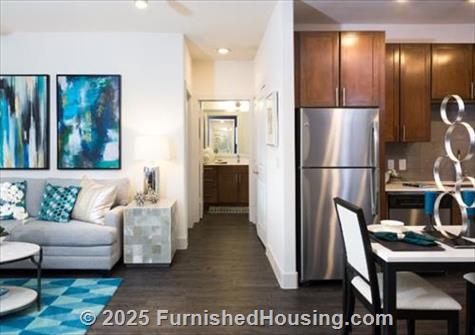 The Standard Domain - Hi-Rise - 3211 Palm Way, Austin, TX  78758 - LG - 4999101