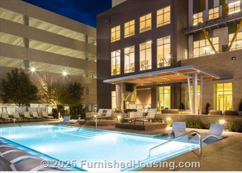The Standard Domain - Hi-Rise - 3211 Palm Way, Austin, TX  78758 - LG - 4999102